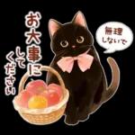 黒猫のつめあわせ♪