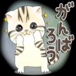 おつかれさまでした