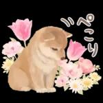 大人かわいい♡いぬと花のスタンプ