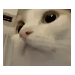 気持ちが伝わる日常メッセージ☆