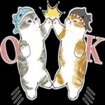 サメにゃん_----