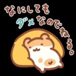 ニャー星人の楽園🥰