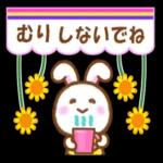 願いが叶いますように！