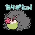 ハワイ大好きポメトーン