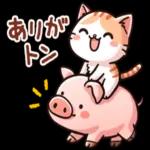 毎日使える気持ちことば集＊