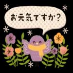 今日の癒しと元気をお届けますよ〜