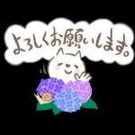 猫さん。梅雨・初夏のやさしいメッセージ