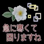 寒くなりましたね〜お体を大切に〜