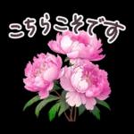毎日使える お花 敬語✿大人上品お花