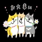 しばんばん_敬語_-_