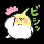 可愛いインコちゃんと一緒に冬を過ごしましょう！