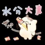 となりのにゃんこ　summer2022