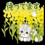 ころころ子猫 春の野原でかくれんぼ