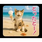 ゆっくり過ごしてくださいね🌿