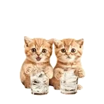 速報！	🎊新スタンプ、使ってみてね！