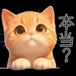 ぽっちゃりちび橘猫