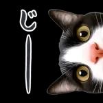 可愛い猫スタンプ！！