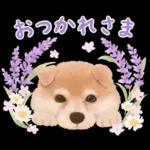 大人かわいい♡いぬと花のスタンプ