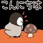 おはようございます〜〜〜