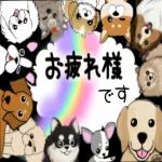 今日の癒しと元気をお届けますよ〜