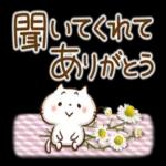 ほんわかさん【毎日便利_冬とお花】