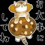 今日は猫カレーの日3