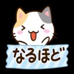 毎日楽しい★おちゃめなアメショ
