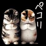 ありがとうございます
ニャータ
SI