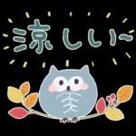 大人の気遣い♡31秋ふわり