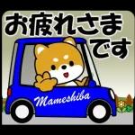 体が大事です👩🏻‍⚕️👩🏻‍⚕️👩🏻‍⚕️