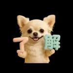 ずっと使える♡夏のチワワ