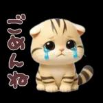 ねこちぃず♡夏スタンプ