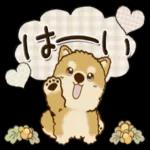 今日も一日お疲れ様でした