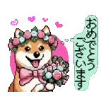 誕生日	おめでとう🤪🤪🤪