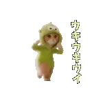 動く！踊るダジャレ猫ミーム！