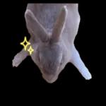 むーちゃんかわいこちゃんのスタンプ