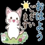 いいと
思います
9.0
貸成