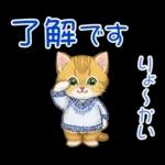 冬のキラキラおめめの子猫ちゃん