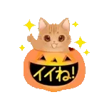 動く！ふわふわ猫たちのハロウィンスタンプ