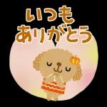 可愛い犬さん〜よろしくね！！