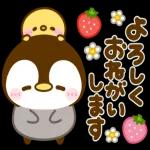 ぺんぺんの春❤️