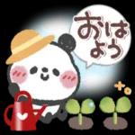 おは よう