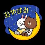 高貴な小さなクマ🐻～