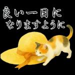 飛び出す【夏】ずっと使える大人のご挨拶
