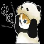 11/ 確認しました