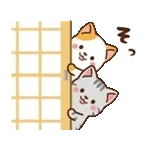動く！ミル&モカ 毎日使える定番