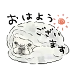 【動く】毎日使えるフレンチブルドッグ