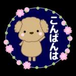 🐶犬の冒険物語