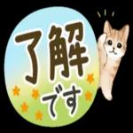 生活は明るく、万物は可愛い。