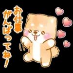 愛する人に感謝を送る❤️いやしばいぬ赤柴